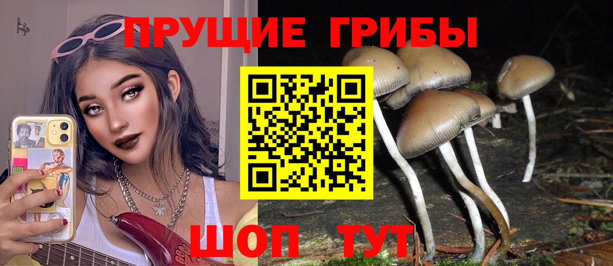 даркнет сайт  Галлюциногенные грибы Psilocybine cubensis  Вход с VPN  Галлюциногенные грибы мицелий  Шарыпово 